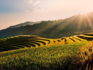 Master en Dien Chan + Voyage au Vietnam : Juillet & Aout 2025